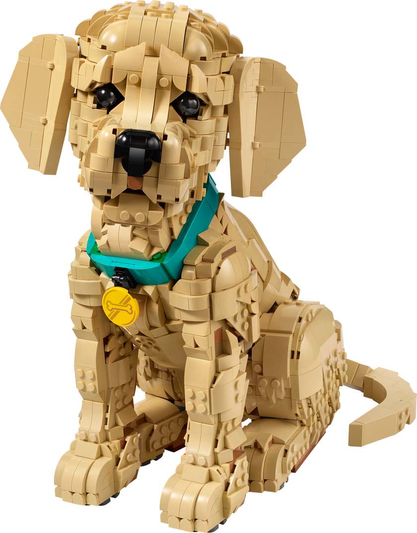 LEGO® Icons Golden retriever-valp, dyrefigur 11384