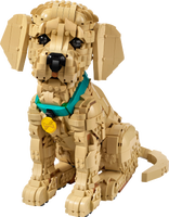 LEGO® Icons Golden retriever-valp, dyrefigur 11384