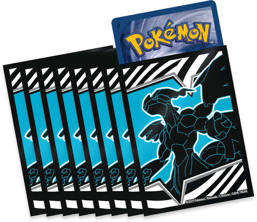 Poke ZSV10.5 Elite Trainer Box