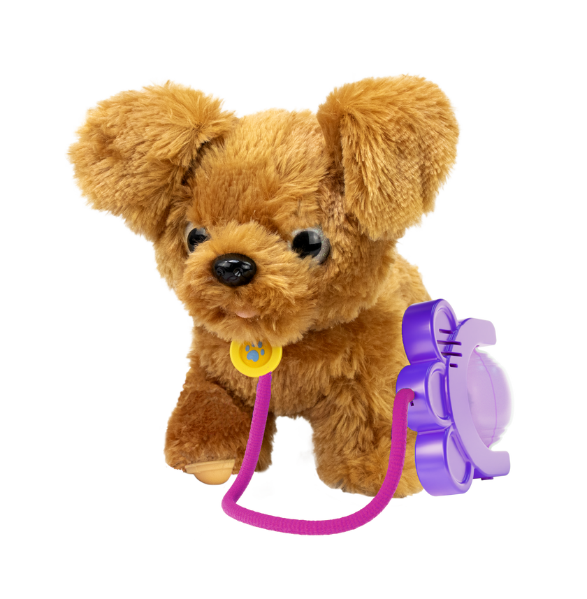 Sprint - Golden Doodle